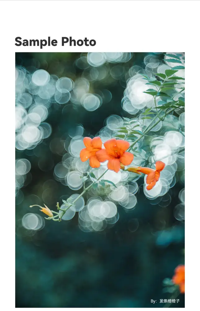  TTArtisan 100mm f/2.8 objektiv Soap Bubble Bokeh för Leica M från Kamda – snabb leverans och trygg e-handel