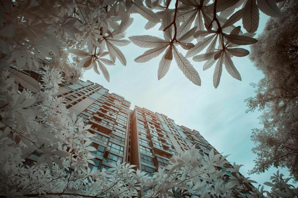  Haida 105mm NanoPro IR-filter 720nm från Kamda – snabb leverans och trygg e-handel