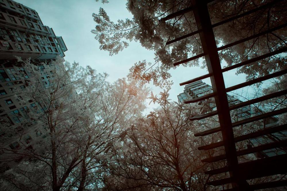  Haida 105mm NanoPro IR-filter 720nm från Kamda – snabb leverans och trygg e-handel