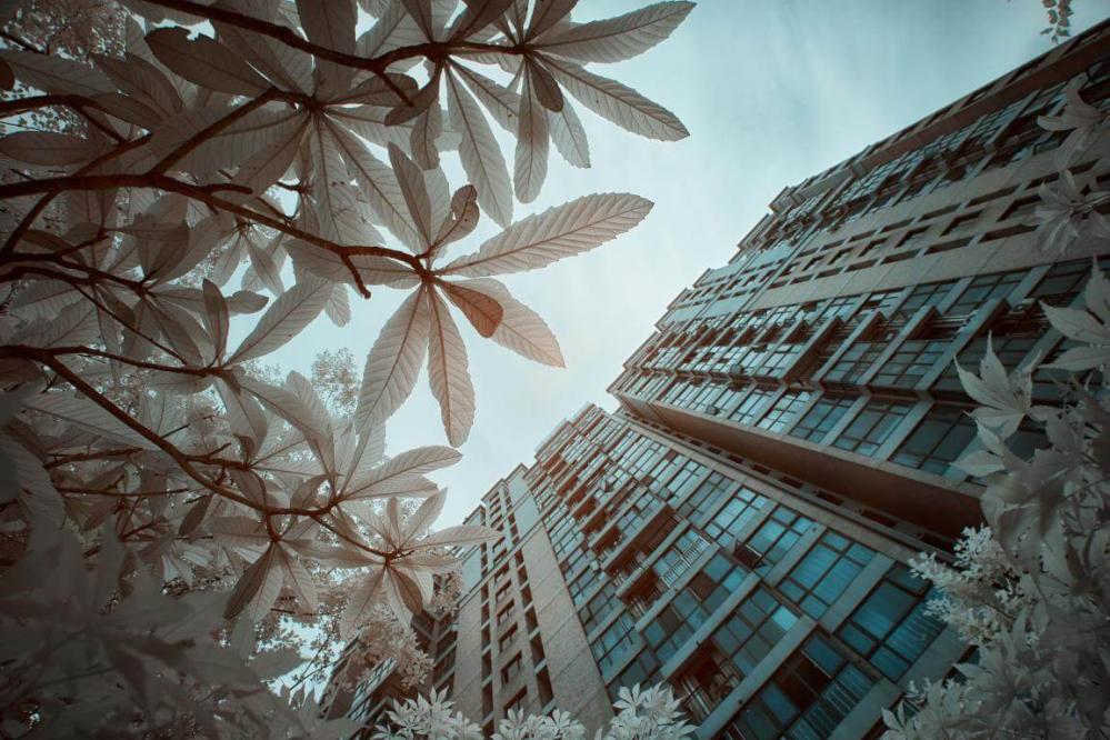  Haida 105mm NanoPro IR-filter 720nm från Kamda – snabb leverans och trygg e-handel