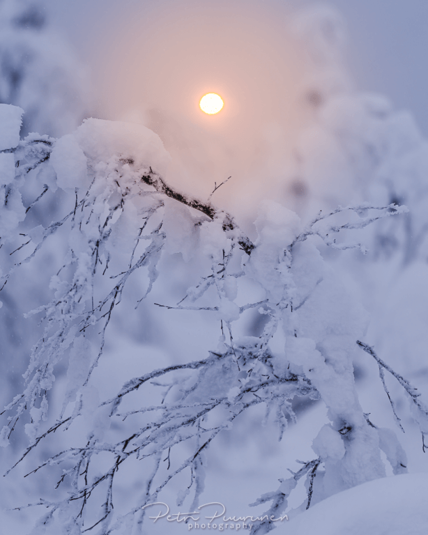  Haida NanoPro Magnetiskt Cirklulärt Polariseringsfilter med adapterring från Kamda – snabb leverans och trygg e-handel